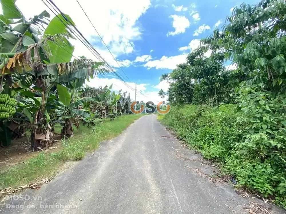 Bán đất Huyện Bảo Lâm, Lâm Đồng – giá 565 triệu - ảnh 3