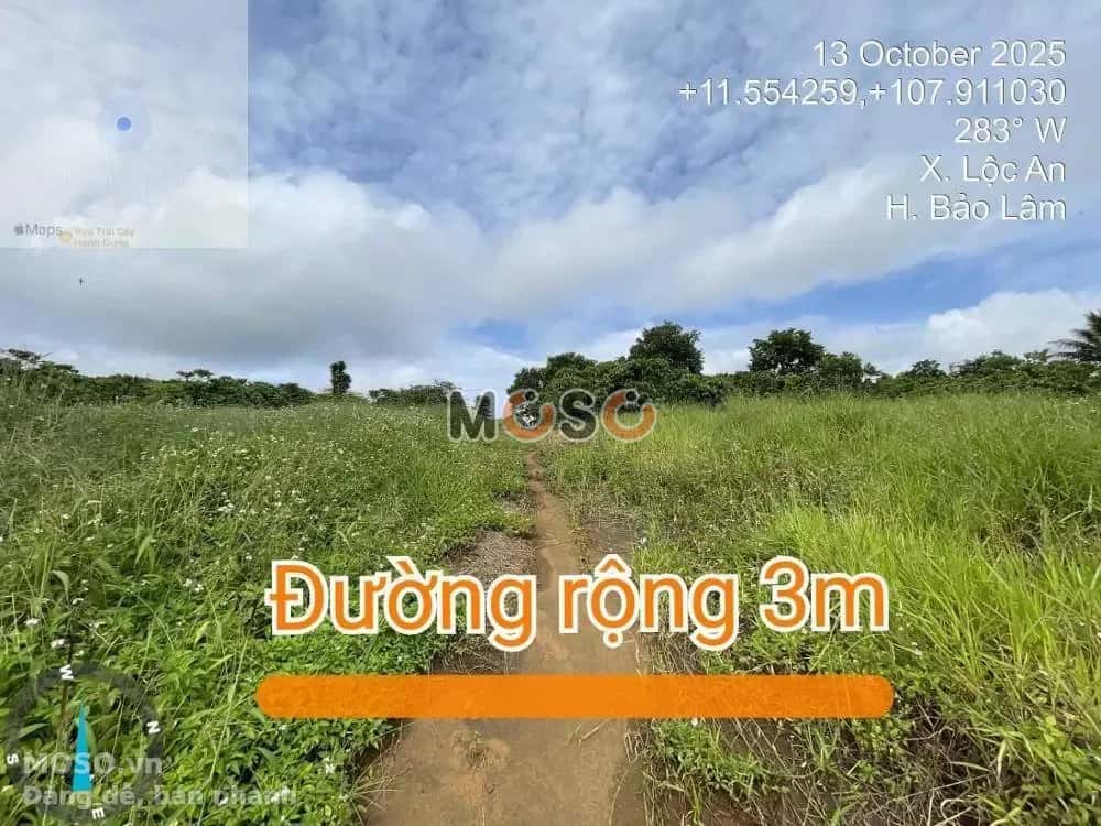 Bán đất Huyện Bảo Lâm, Lâm Đồng – giá 493.7 triệu - ảnh 2