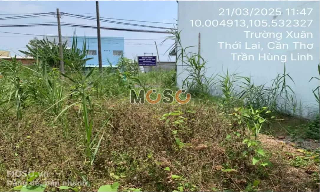Bán đất Huyện Thới Lai, TP. Cần Thơ – giá 2.5 tỷ - ảnh 2