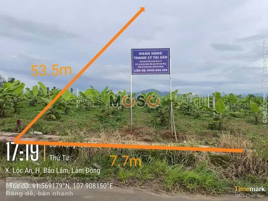 Bán đất Huyện Bảo Lâm, Lâm Đồng – giá 504 triệu - ảnh 1