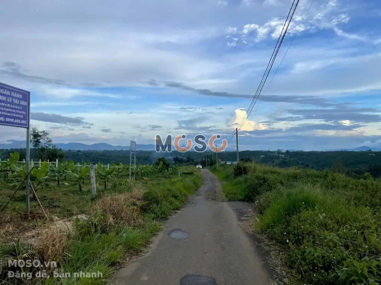 Bán đất Huyện Bảo Lâm, Lâm Đồng – giá 504 triệu - ảnh 4