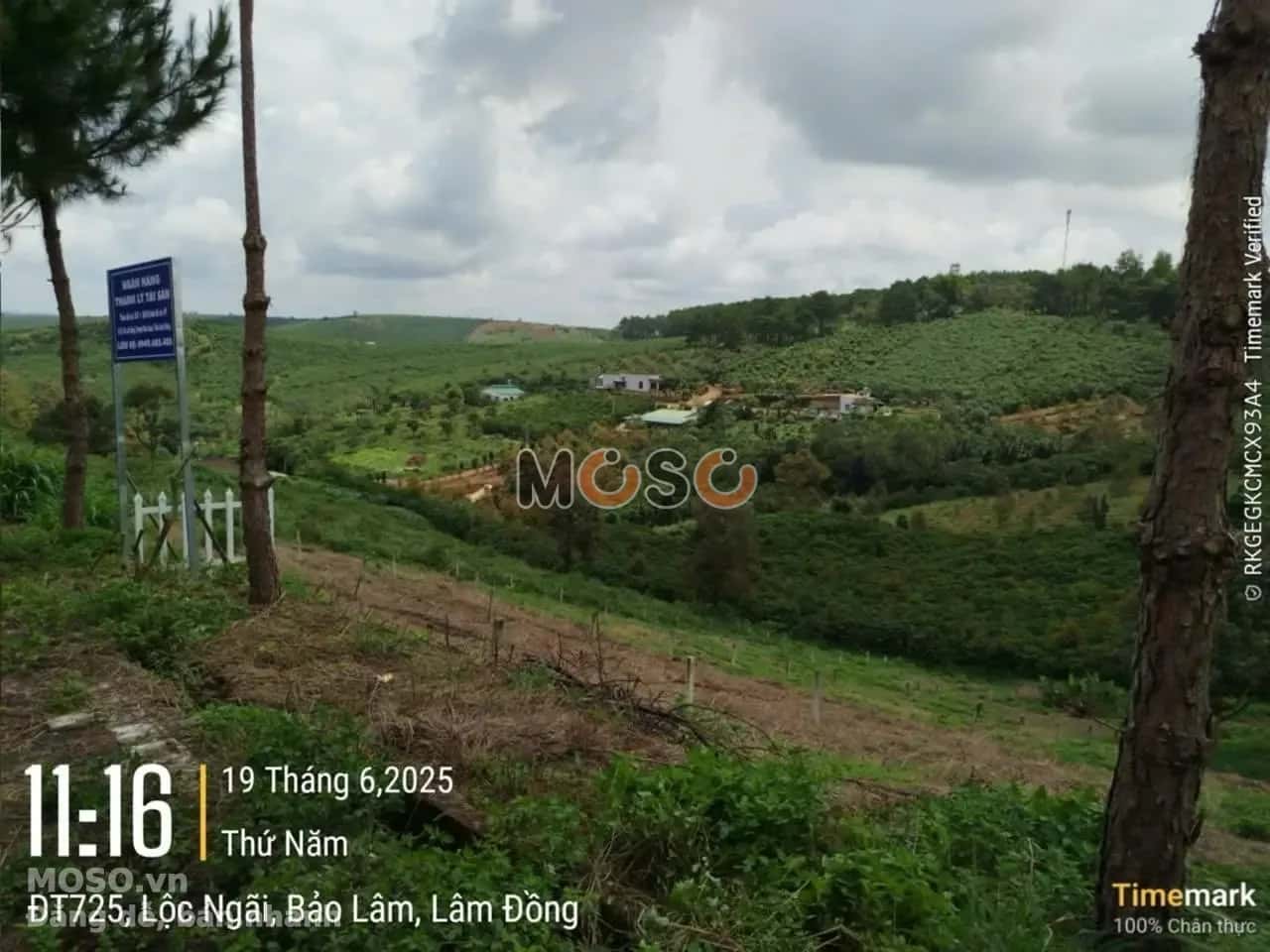 Bán đất Huyện Bảo Lâm, Lâm Đồng – giá 611.5 triệu - ảnh 4