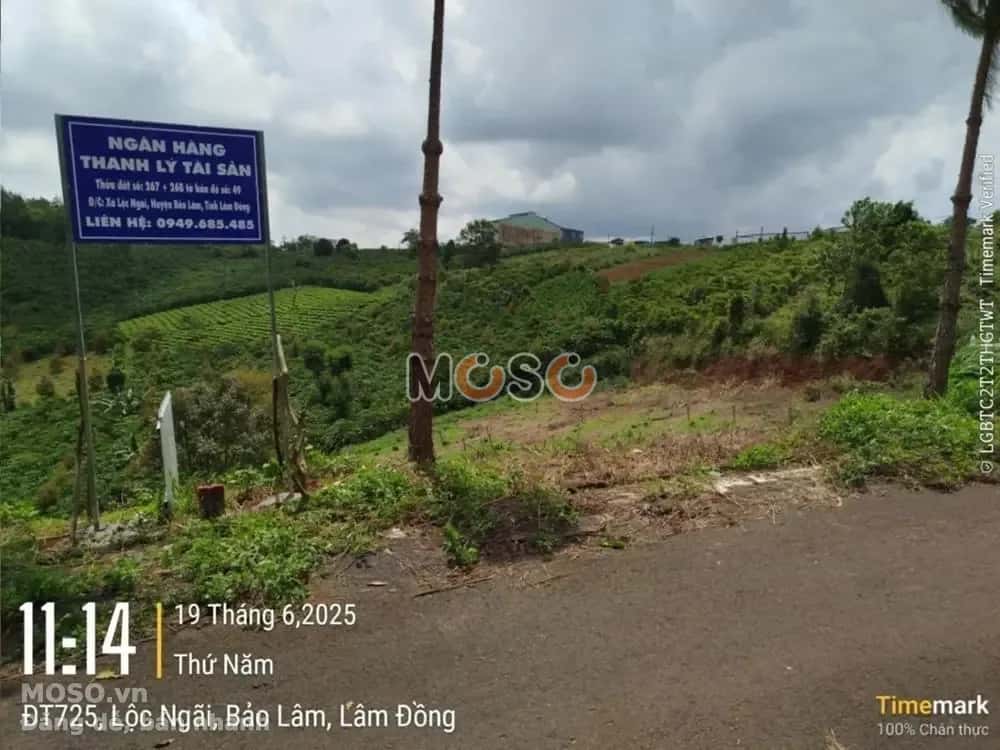Bán đất Huyện Bảo Lâm, Lâm Đồng – giá 754 triệu - ảnh 3