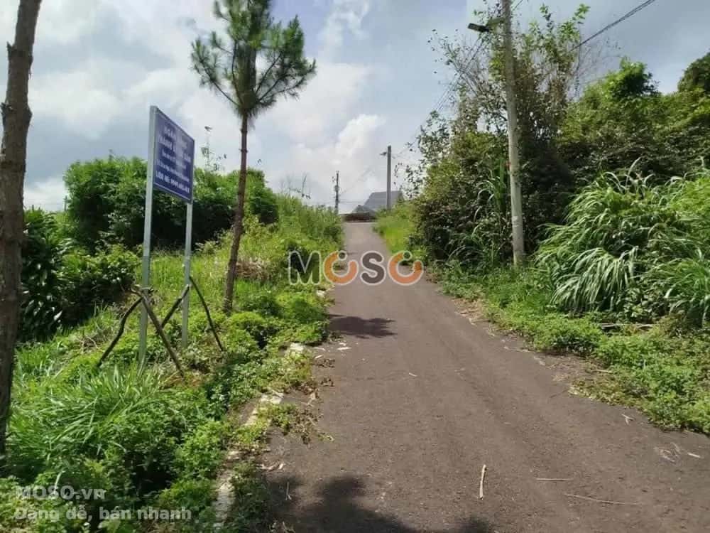 Bán đất Huyện Bảo Lâm, Lâm Đồng – giá 754 triệu - ảnh 4