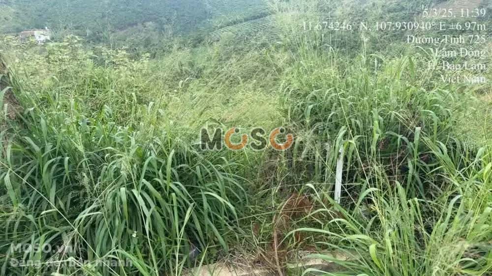 Bán đất Huyện Bảo Lâm, Lâm Đồng – giá 581 triệu - ảnh 2