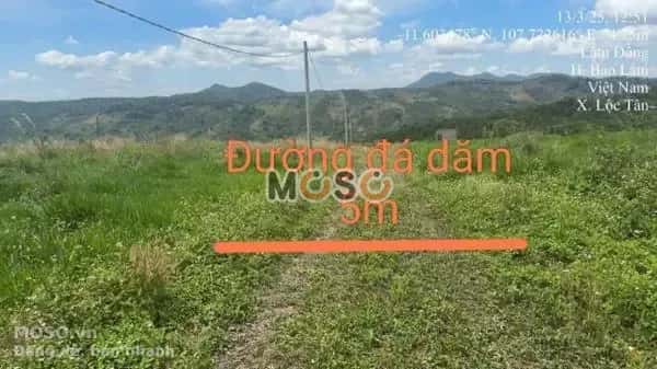 Bán đất Huyện Bảo Lâm, Lâm Đồng – giá 576 triệu - ảnh 2