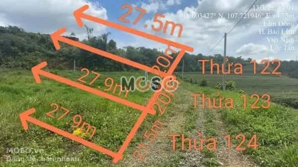 Bán đất Huyện Bảo Lâm, Lâm Đồng – giá 587 triệu - ảnh 1