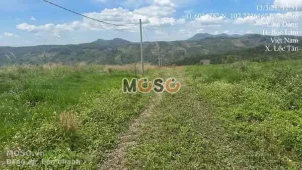 Bán đất Huyện Bảo Lâm, Lâm Đồng – giá 587 triệu - ảnh 3