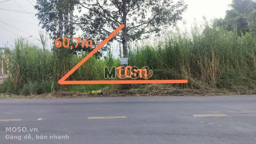 Bán đất Huyện Thới Lai, TP. Cần Thơ – giá 1.9 tỷ - ảnh 1