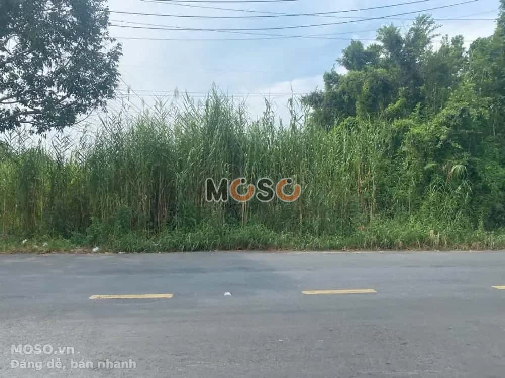 Bán đất Huyện Thới Lai, TP. Cần Thơ – giá 1.9 tỷ - ảnh 2