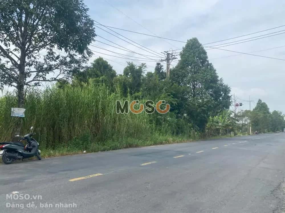 Bán đất Huyện Thới Lai, TP. Cần Thơ – giá 1.9 tỷ - ảnh 4