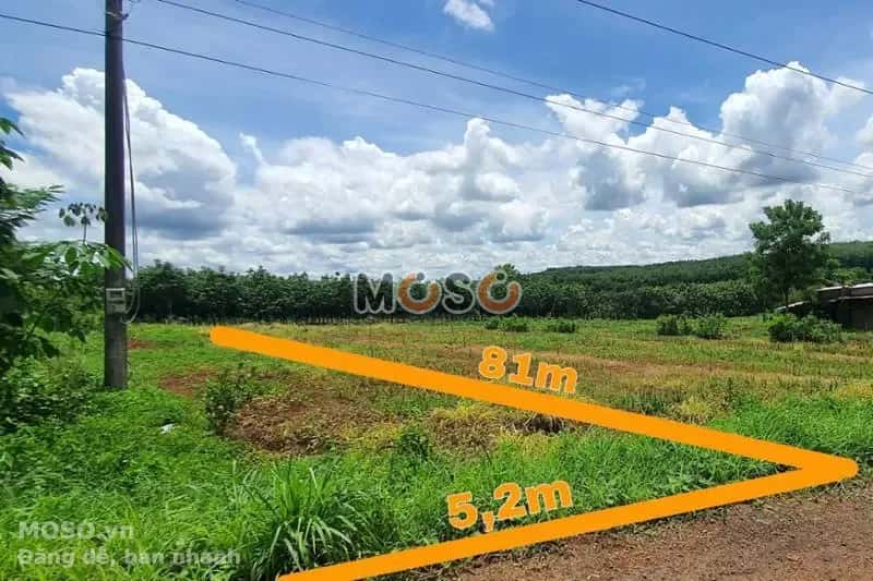 Bán đất Huyện Bù Gia Mập, Bình Phước – giá 126 triệu - ảnh 1