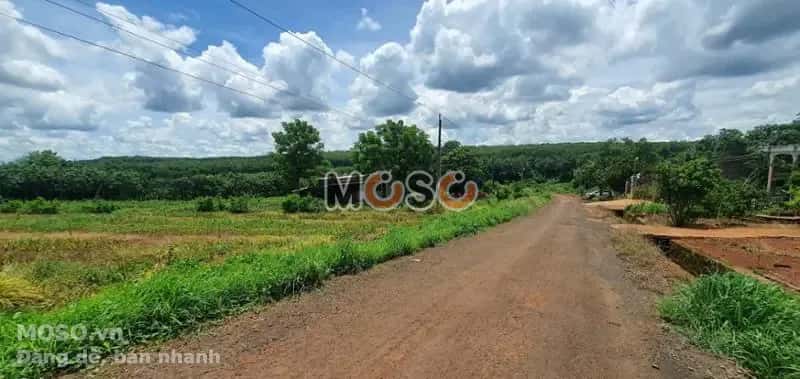 Bán đất Huyện Bù Gia Mập, Bình Phước – giá 126 triệu - ảnh 2