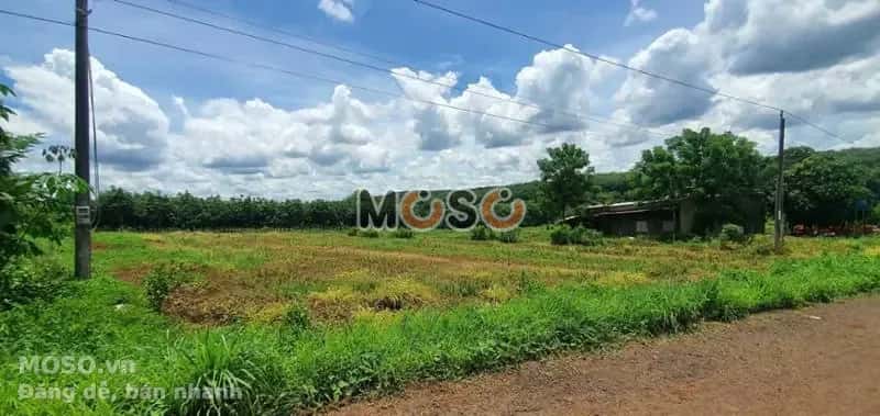 Bán đất Huyện Bù Gia Mập, Bình Phước – giá 126 triệu - ảnh 5