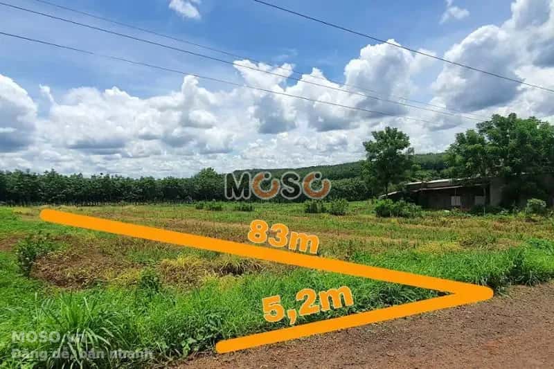 Bán đất Unnamed Huyện Bù Gia Mập, Bình Phước – giá 130 triệu - ảnh 1