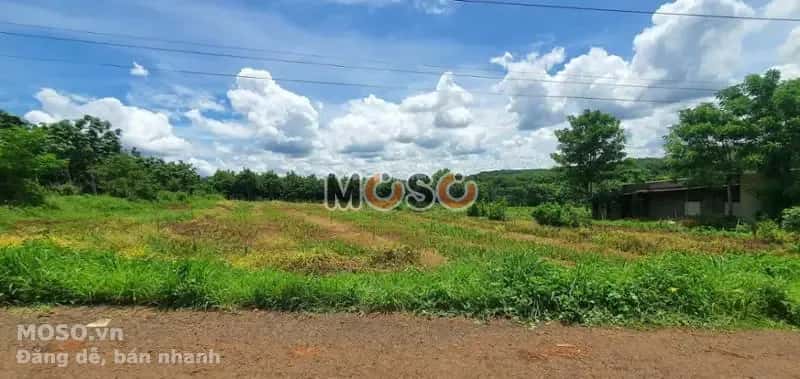 Bán đất Unnamed Huyện Bù Gia Mập, Bình Phước – giá 130 triệu - ảnh 4