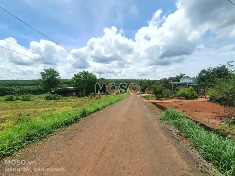 Bán đất Unnamed Huyện Bù Gia Mập, Bình Phước – giá 130 triệu - ảnh 3