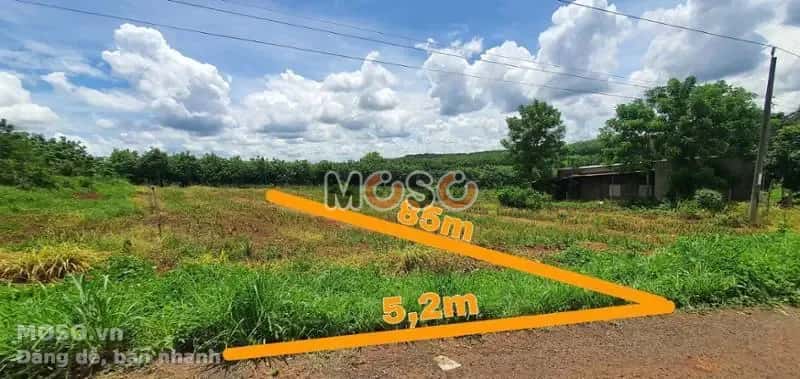 Bán đất Unnamed Huyện Bù Gia Mập, Bình Phước – giá 133 triệu - ảnh 1