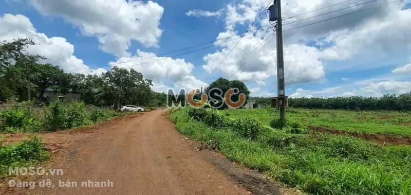 Bán đất Unnamed Huyện Bù Gia Mập, Bình Phước – giá 133 triệu - ảnh 4