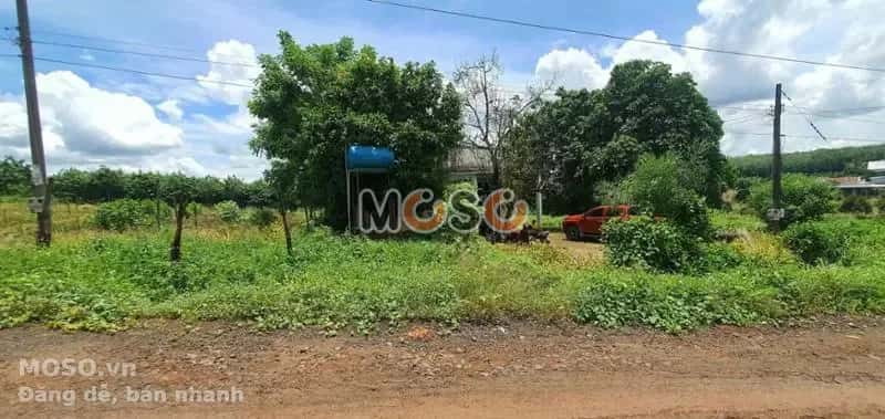 Bán đất Unnamed Huyện Bù Gia Mập, Bình Phước – giá 255 triệu - ảnh 2