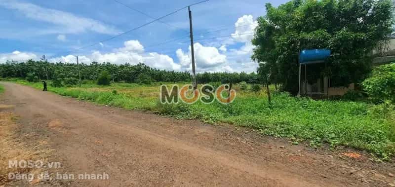 Bán đất Unnamed Huyện Bù Gia Mập, Bình Phước – giá 255 triệu - ảnh 3