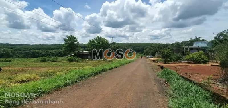 Bán đất Unnamed Huyện Bù Gia Mập, Bình Phước – giá 255 triệu - ảnh 4