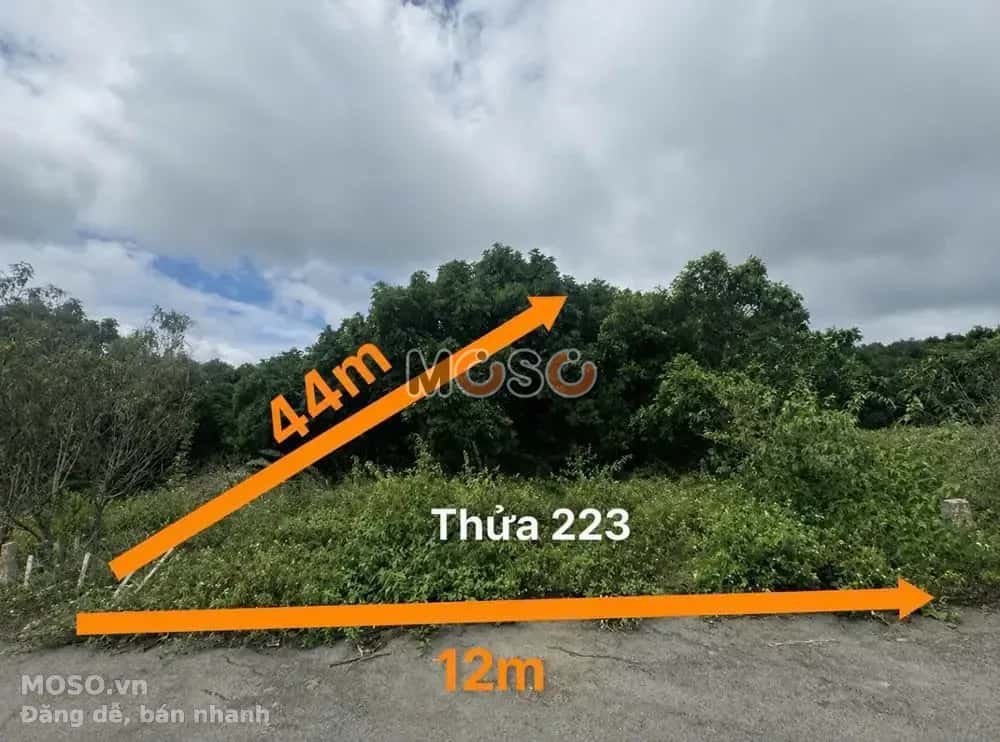 Bán đất Huyện Lâm Hà, Lâm Đồng – giá 970.5 triệu - ảnh 1