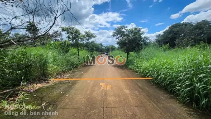 Bán đất Thị xã Phước Long, Bình Phước – giá 110.4 triệu - ảnh 2