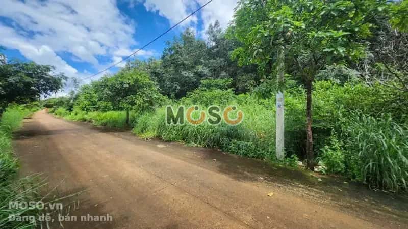 Bán đất Thị xã Phước Long, Bình Phước – giá 110.4 triệu - ảnh 3