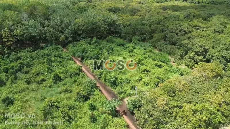 Bán đất Thị xã Phước Long, Bình Phước – giá 165.1 triệu - ảnh 5