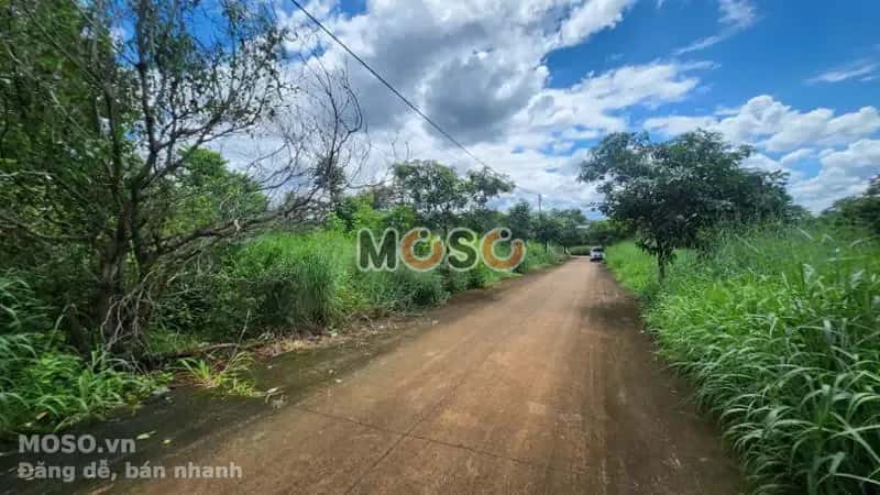 Bán đất Thị xã Phước Long, Bình Phước – giá 157.6 triệu - ảnh 3