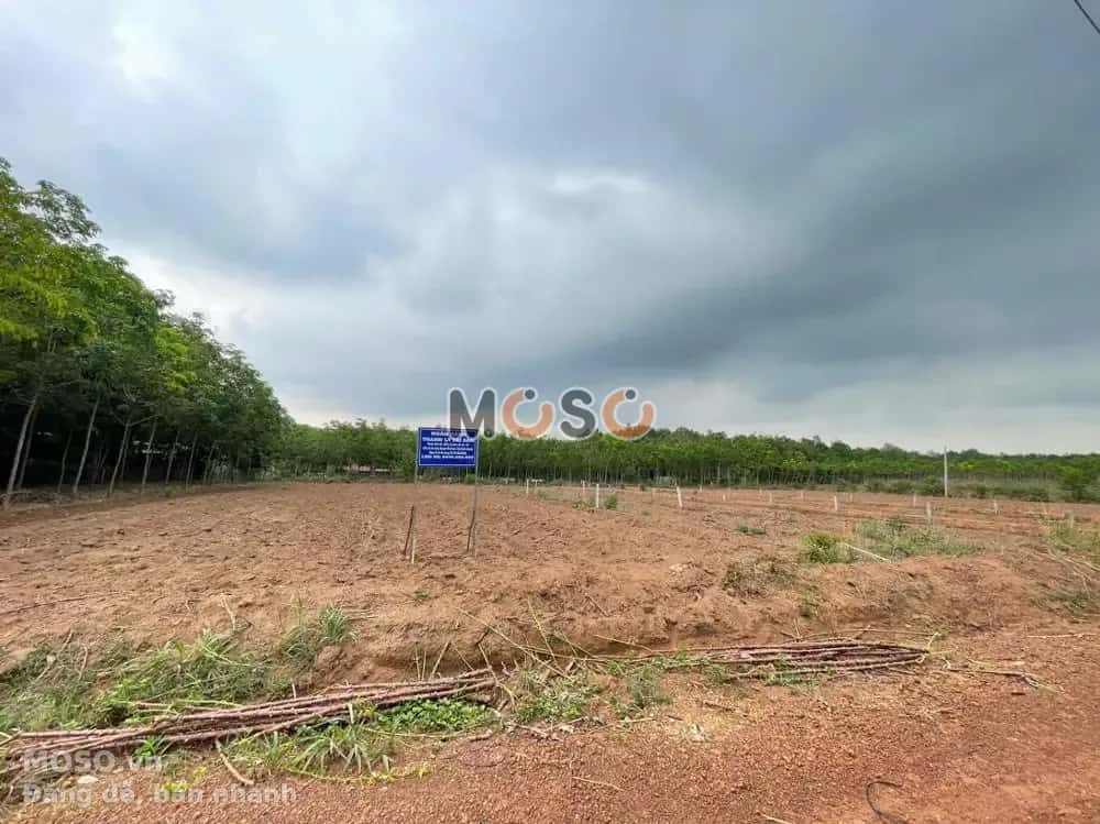 Bán đất Huyện Phú Giáo, Bình Dương – giá 1.6 tỷ - ảnh 2