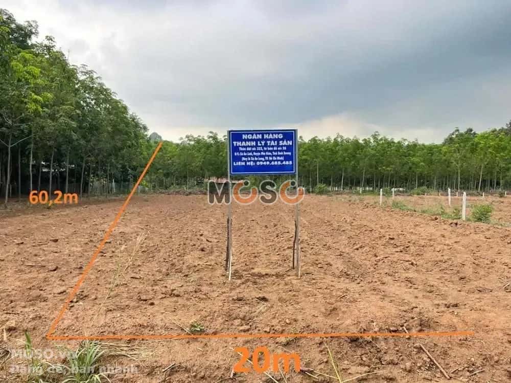 Bán đất Huyện Phú Giáo, Bình Dương – giá 1.6 tỷ - ảnh 5