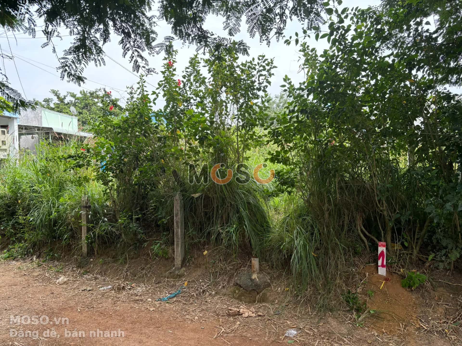 Bán đất Huyện Xuân Lộc, Đồng Nai – giá 1.1 tỷ - ảnh 3
