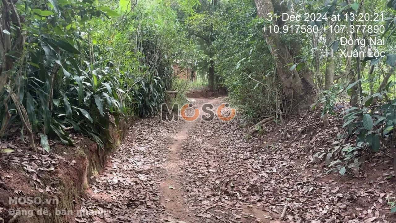 Bán đất Huyện Xuân Lộc, Đồng Nai – giá 2.6 tỷ - ảnh 4
