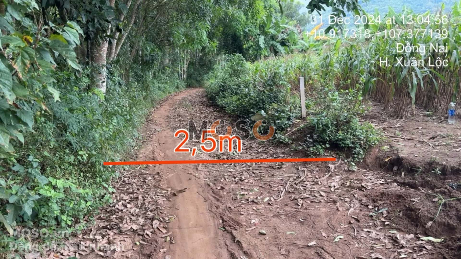 Bán đất Huyện Xuân Lộc, Đồng Nai – giá 2.6 tỷ - ảnh 2