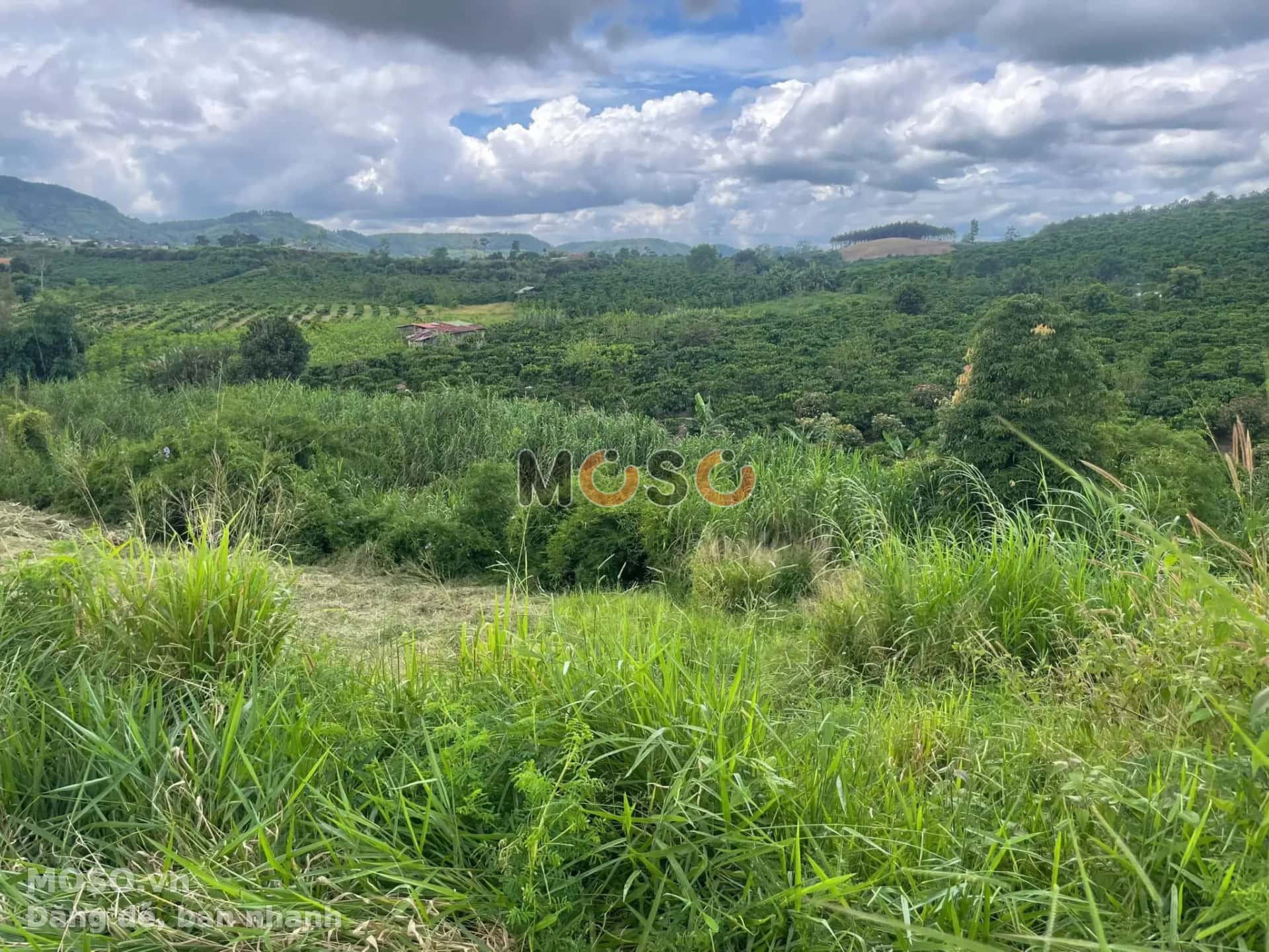Bán đất Huyện Lâm Hà, Lâm Đồng – giá 904.5 triệu - ảnh 4
