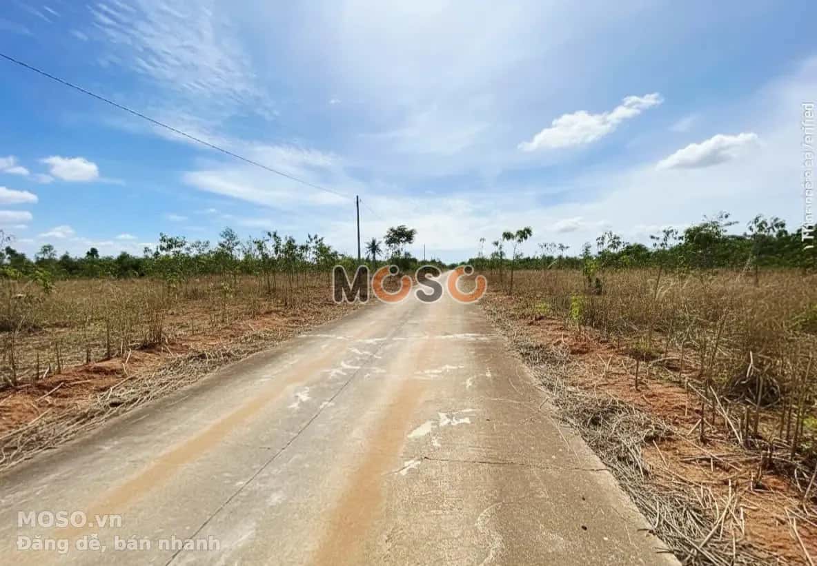 Bán đất Phú Mỹ, BRVT – giá 547 triệu - ảnh 5