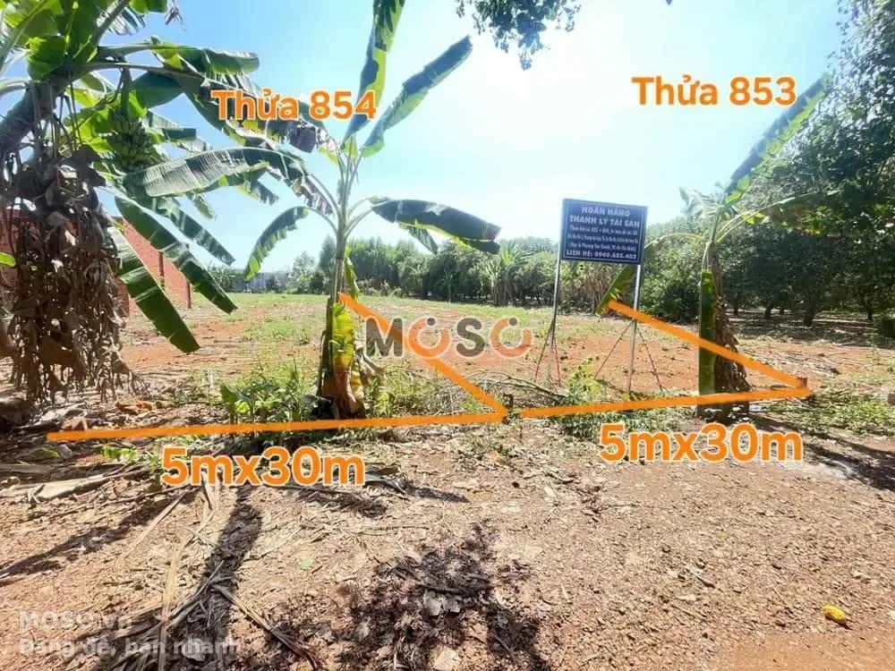 Bán đất Phú Mỹ, BRVT – giá 674 triệu - ảnh 4