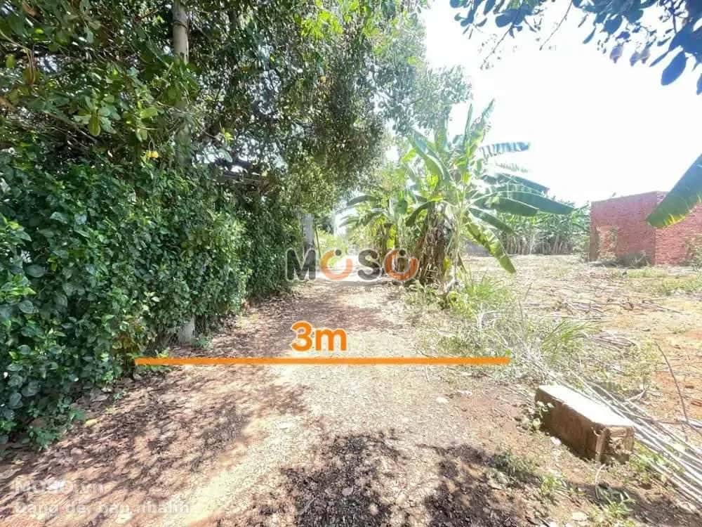 Bán đất Phú Mỹ, BRVT – giá 674 triệu - ảnh 5