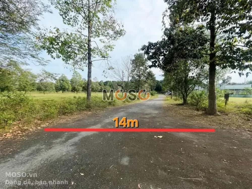 Bán đất Huyện Dầu Tiếng, Bình Dương – giá 756 triệu - ảnh 3