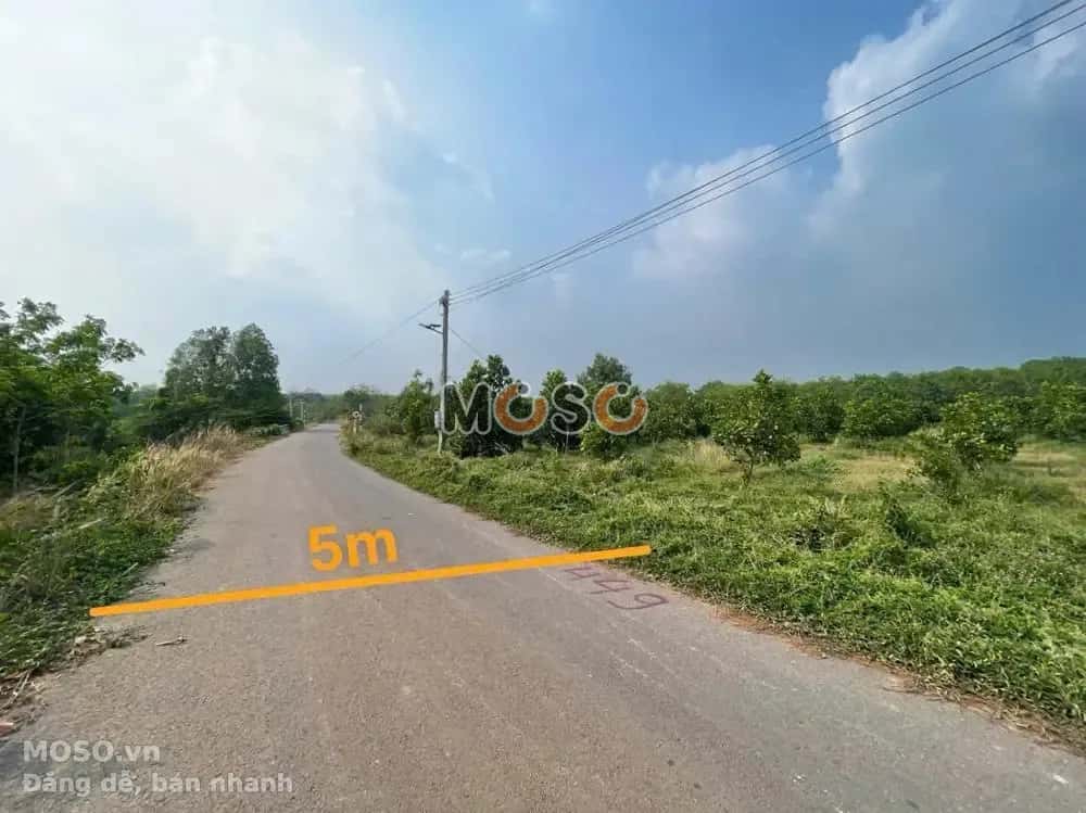 Bán đất Huyện Phú Giáo, Bình Dương – giá 1.3 tỷ - ảnh 2