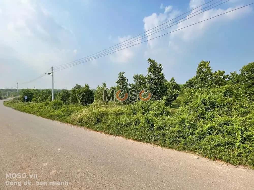 Bán đất Huyện Phú Giáo, Bình Dương – giá 1.3 tỷ - ảnh 5