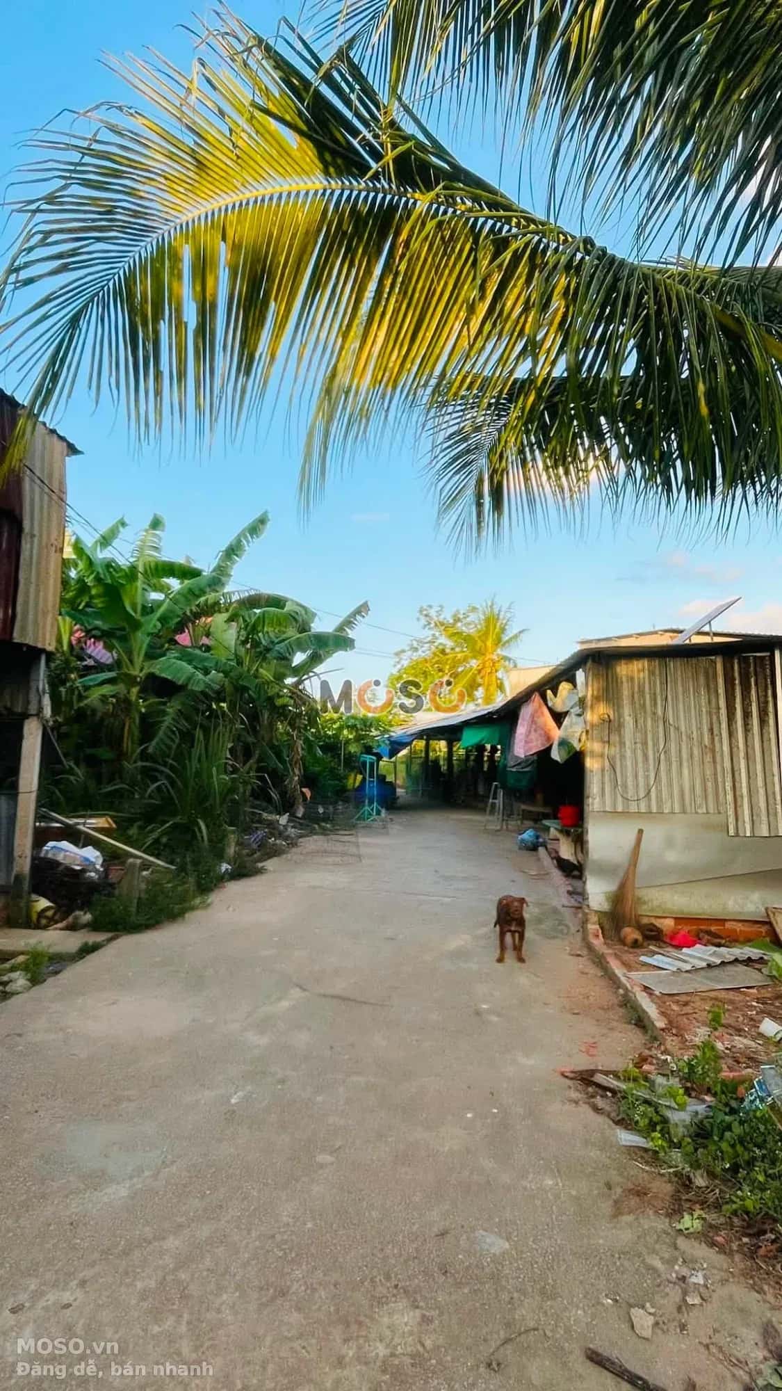 Bán đất Tuyến hai bên Rạch Xéo Lá Quận Cái Răng, TP. Cần Thơ – giá 290 triệu - ảnh 3