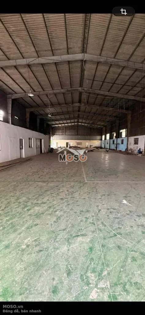 Cho thuê kho, nhà xưởng Thuận Giao 31 Thành phố Thuận An, TP.HCM – giá 55 triệu - ảnh 1