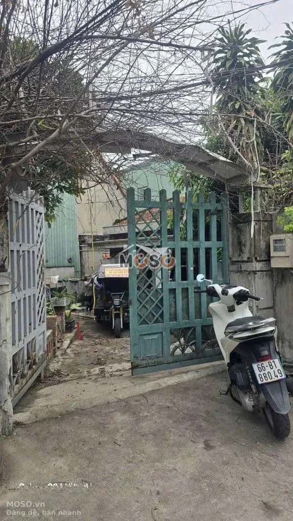 Cho thuê đất Đường Tiền Lân 13 Huyện Hóc Môn, TP.HCM – giá 8 triệu - ảnh 3