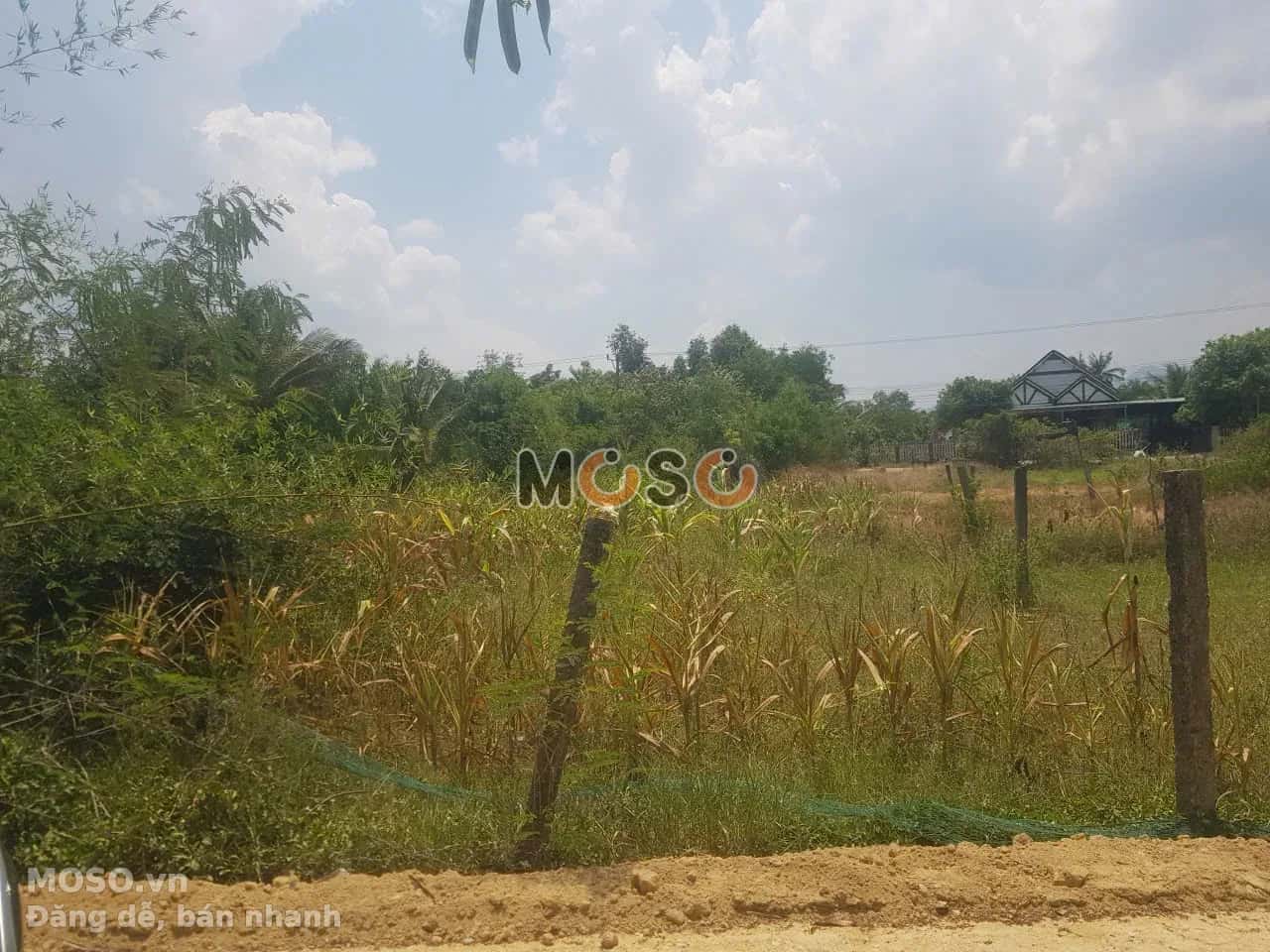 Bán đất thôn Tân Hiệp  Thị xã Ninh Hòa, Khánh Hòa – giá 440 triệu - ảnh 1