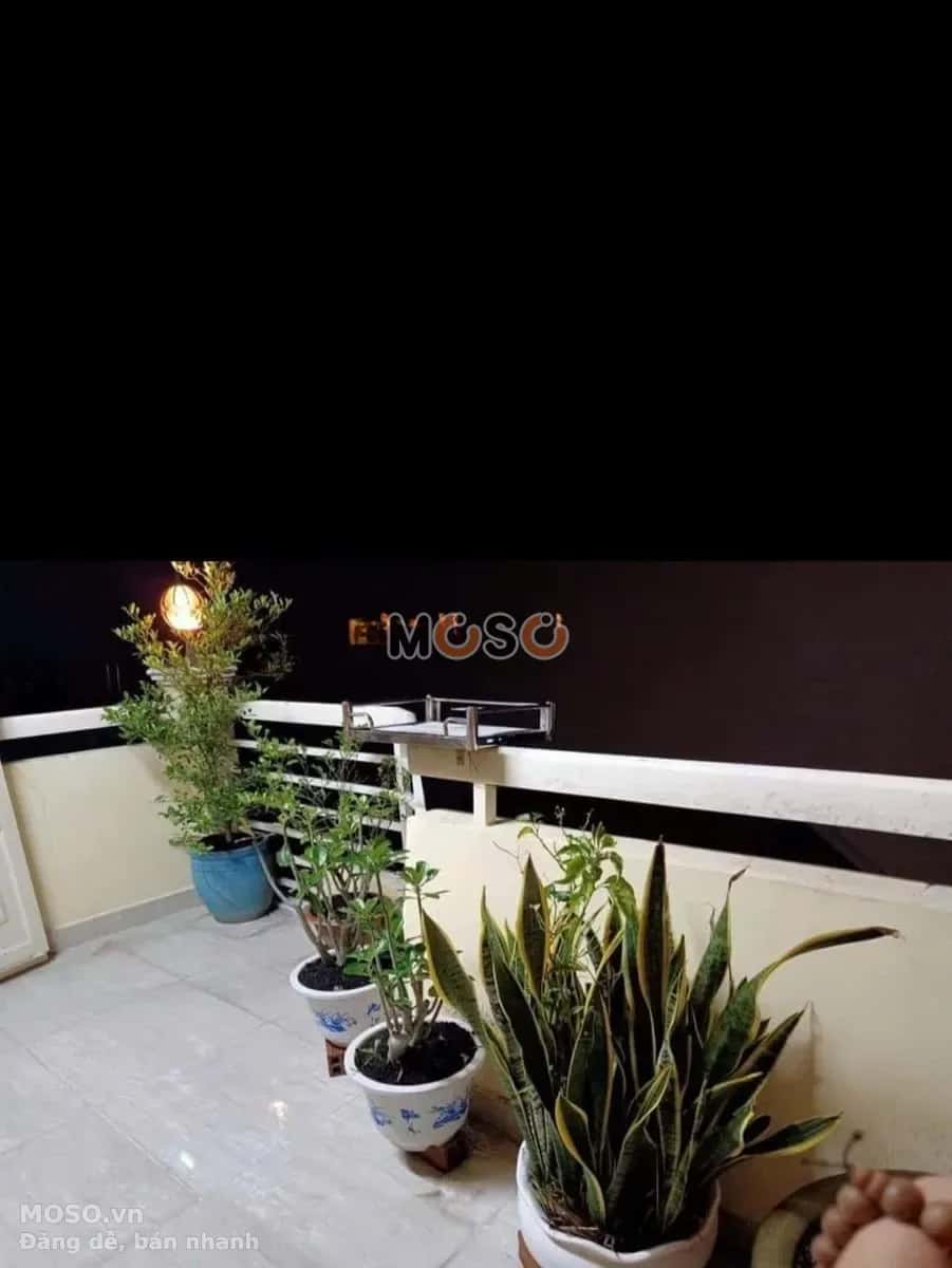 Cho thuê nhà hẻm Đường Võ Thị Sáu Quận 3, TP.HCM – 5 phòng ngủ, giá 26 triệu - ảnh 5