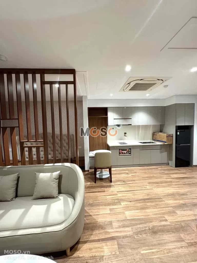 Cho thuê căn hộ chung cư Nam Kỳ Khởi Nghĩa Quận 1, TP.HCM – 1 phòng ngủ, giá 9 triệu - ảnh 4