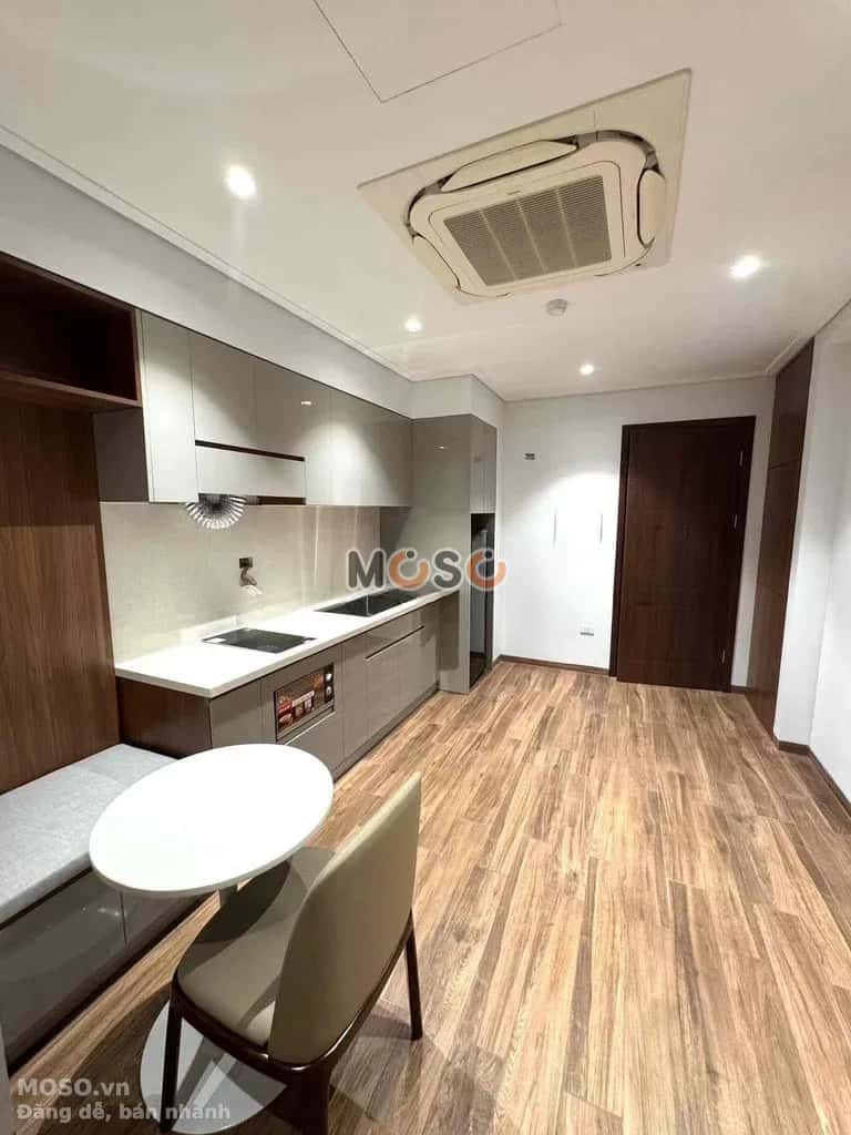 Cho thuê căn hộ chung cư Nam Kỳ Khởi Nghĩa Quận 1, TP.HCM – 1 phòng ngủ, giá 9 triệu - ảnh 5